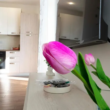 Apartman 70125 Holiday