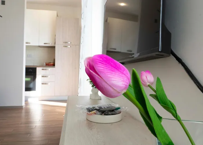 Apartment 70125 Holiday